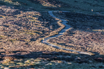 Lords Seat-12