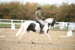 SBM_001720