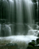 Scalebar Force