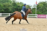 Cls 31 British Novice & 90cm Open portfolio