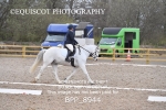 BPP_8944