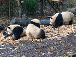 CHINA__0056