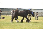 SBM_16117