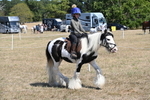 WJ6_9167