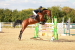 SBM_007771