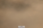 251004A-141732-01487