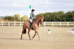 SBM_009081