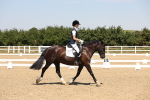 SBM_004913