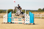 SBM_003385