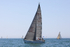 190629 RHO RHO GBR8367 1Y3A0711