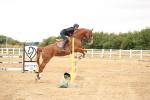 SBM_023832
