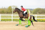 SBM_003666