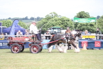 SBM_06985