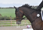 BPP_0324