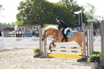 SBM_15640