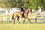 SBM_20298