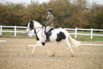 SBM_001735