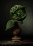Savoy Cabbage