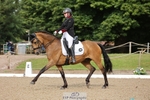 297-Daisy_Winkle-Decandro_Hit_LDS portfolio