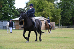 Class 8 Ridden Veterans portfolio