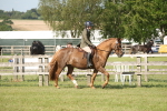 SBM_09740