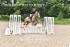 BPP_9394
