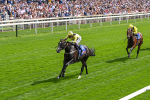 260725-Race 3-Royal Champion-7438