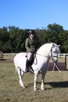 Class 2: Working Hunter 60cm portfolio
