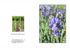 014 Thurlow Hall Gardens - Irises