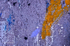 Abstract 7