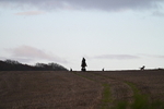 WJ7_9792
