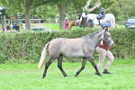 SBM_64948