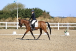 SBM_013042