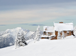 Winter - 2