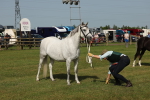 SBM_00786