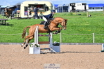 Cls 8, 9 & 10 Children on Horses 90cm, 1m & 1.10m portfolio