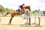 SBM_003936