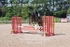 BPP_0876