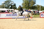 SBM_19035