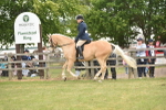 SBM_15939