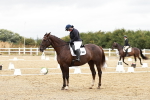 SBM_002961