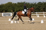 SBM_022447