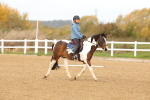 SBM_000754