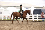 SBM_00533