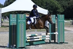 PC70 and 70+ Showjumping portfolio