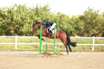 SBM_000338