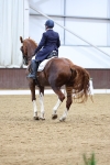 SBM_009448