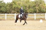 SBM_002646