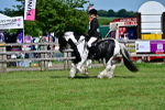 SBM_09347