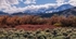 Sierra Crest